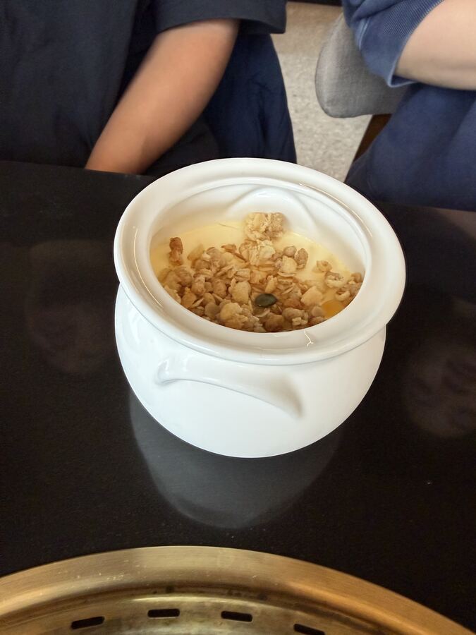 House yogurt pudding