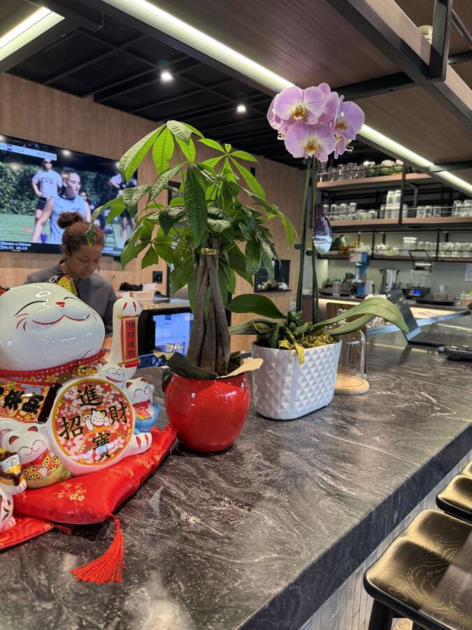 Lucky cats and orchids on the counter